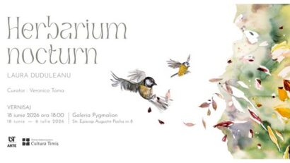 herbarium nocturn casa artelor timisoara