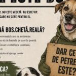 BOS.CHETĂ.REALĂ. - prima ediție a petrecerii caritabile pentru Asociația Poli