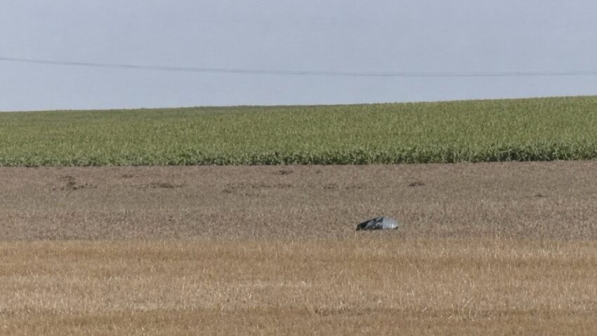 Dronă intrată în spațiul aerian al României, doborâtă de un F-16 românesc în județul Buzău