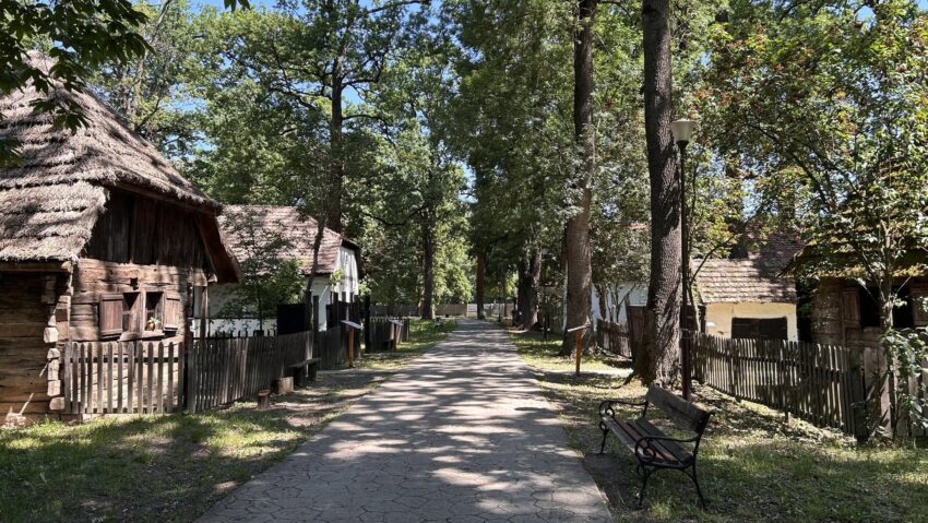 O casă de aproape 200 de ani din Banatul Montan va fi reconstruită la Muzeul Satului din Timișoara
