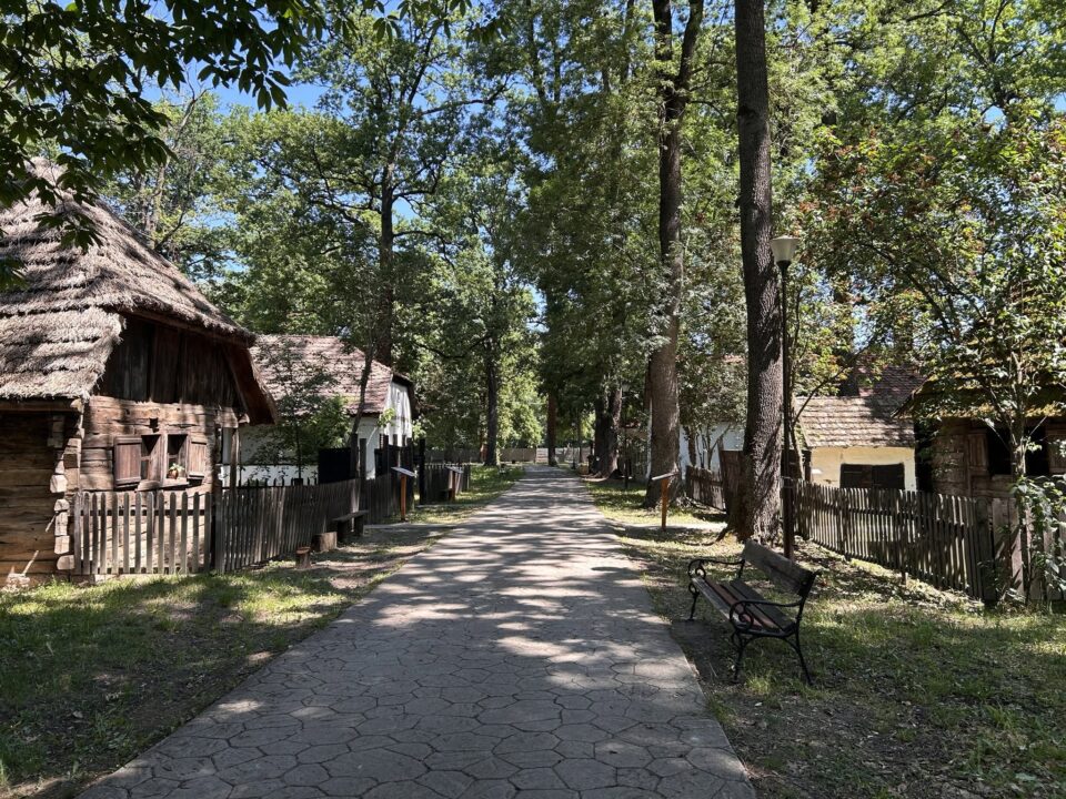 O casă de aproape 200 de ani din Banatul Montan va fi reconstruită la Muzeul Satului din Timișoara