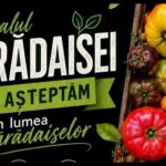 Festivalul Părădaisei revine la Timișoara cu ediția a IV-a