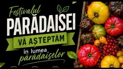 festivalul paradaisei 2026 timisoara