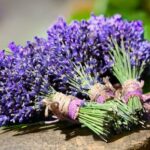 Lavanda Fest 2026, în Piața Libertății din Timișoara