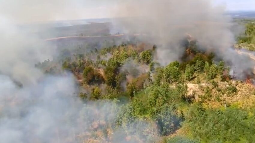 Trei incendii de vegetație uscată, în Timiș. Peste 250 de hectare de teren sunt afectate