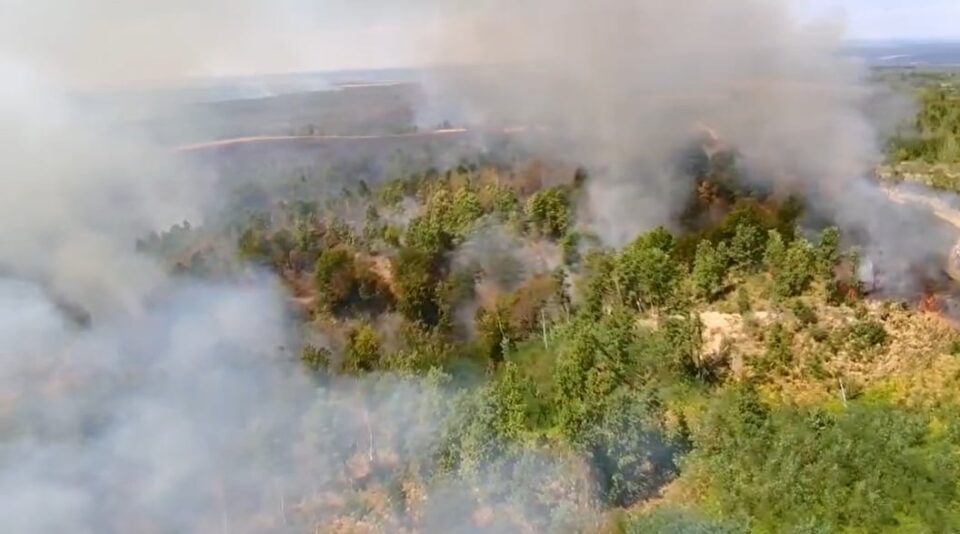 Trei incendii de vegetație uscată, în Timiș. Peste 250 de hectare de teren sunt afectate