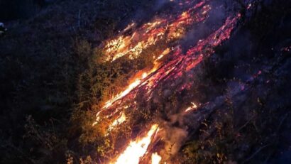 Peste 300 de hectare de vegetație afectate de incendii în Timiș
