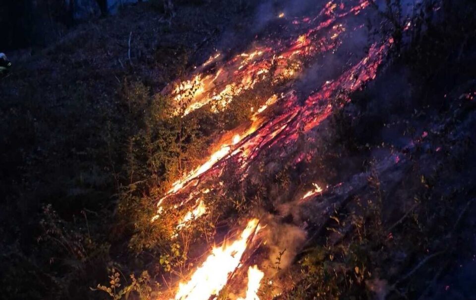 Peste 300 de hectare de vegetație afectate de incendii în Timiș