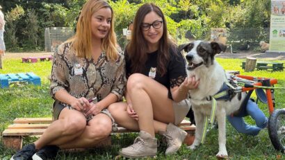 Centrele sociale din Timișoara se deschid comunității