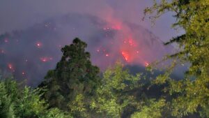 Incendiu de proporții în Parcul Național Domogled. DN 67D, închis din nou la Băile Herculane