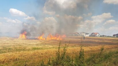 23 de incendii de vegetație în Timiș, în doar două zile