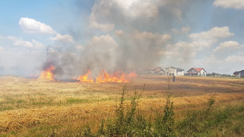 23 de incendii de vegetație în Timiș, în doar două zile