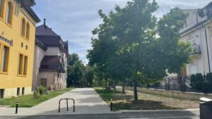 Primăria Timișoara câștigă definitiv procesul privind strada Cezar