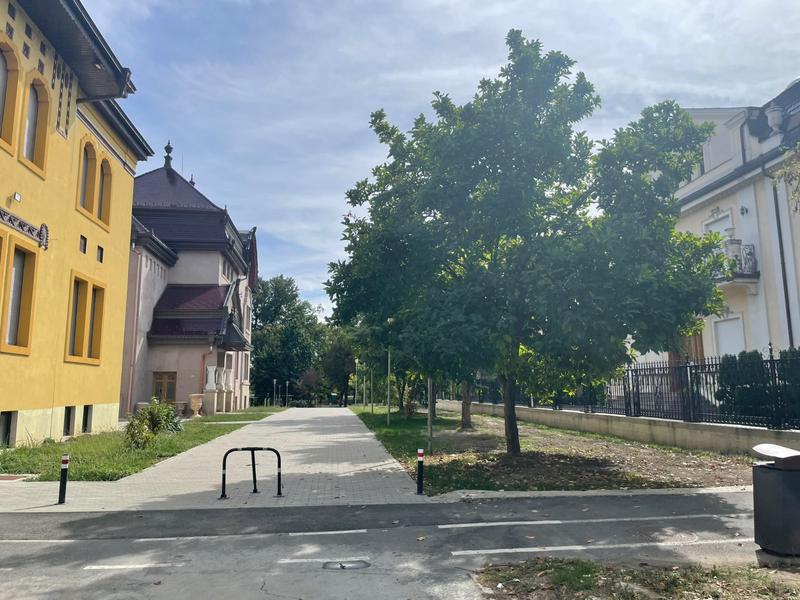 Primăria Timișoara câștigă definitiv procesul privind strada Cezar