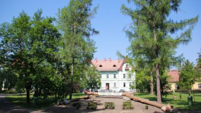 Profesorii și elevii de la Liceul Azur contestă comasarea cu Liceul Silvic. Ruben Lațcău: Comasarea era necesară