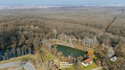 Trasee pentru biciclete și pasarele suspendate la Pădurea Verde. Proiectul intră la vot în CL Timișoara