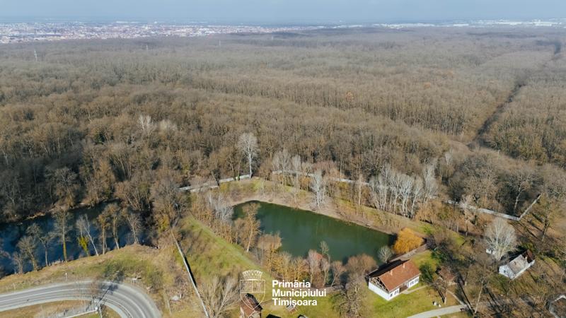 Trasee pentru biciclete și pasarele suspendate la Pădurea Verde. Proiectul intră la vot în CL Timișoara