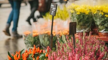 Primăria Timișoara primește cereri pentru vânzarea florilor și candelelor de Ziua Morților