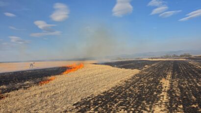 Incendii de vegetație în Timiș. Peste 130 de hectare, afectate la Știuca și Bunea Mare