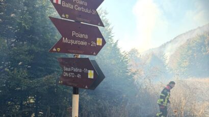 Pompierii și silvicultorii continuă lupta cu incendiul din Domogled-Valea Cernei