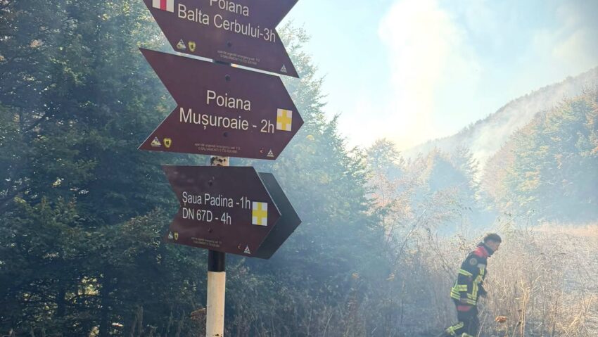 Pompierii și silvicultorii continuă lupta cu incendiul din Domogled-Valea Cernei