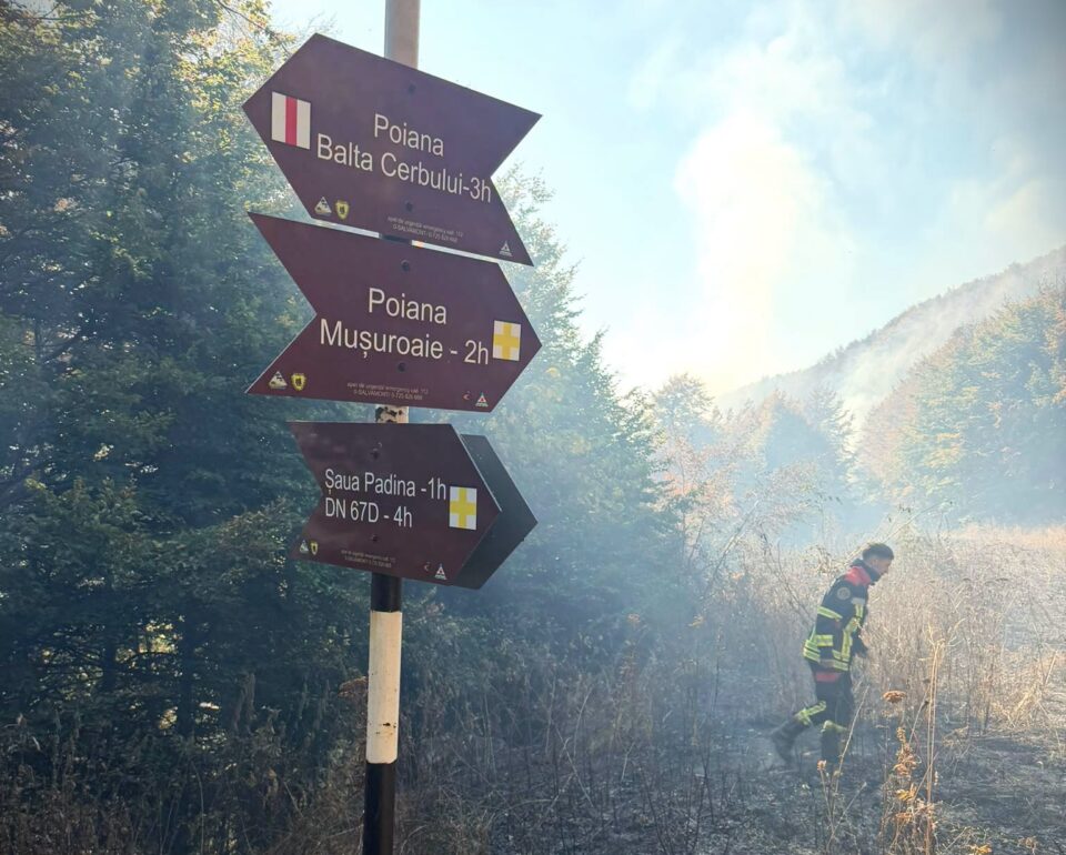 Pompierii și silvicultorii continuă lupta cu incendiul din Domogled-Valea Cernei