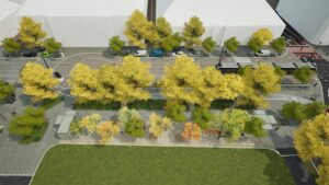 Piatra naturală și mai mult spațiu pietonal în zona Proclamația de la Timișoara